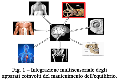 (Fig. 1)